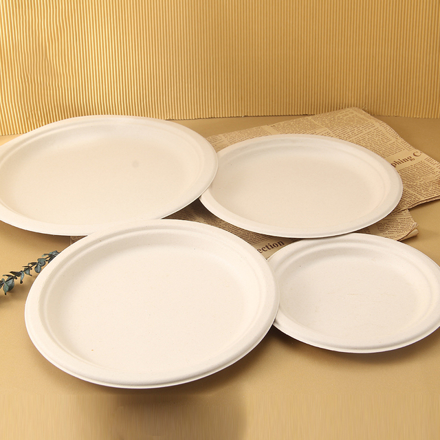 Factory Direct Sale High Quality Biodegradable Paper Plate Printed Paper Plate