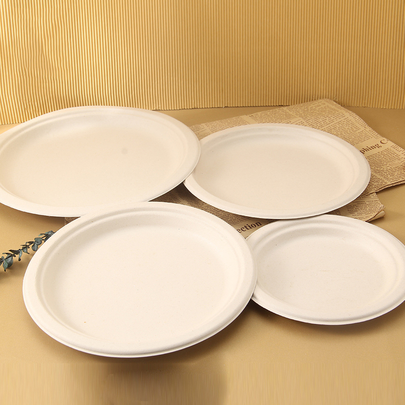 Factory Direct Sale High Quality Biodegradable Paper Plate Printed Paper Plate
