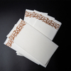 Customizable Patterns Disposable Recyclable Napkins Factory