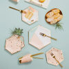 Disposable Printed Square Paper Plate