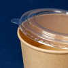 Natural materials degradable environmental protection disposable bowl