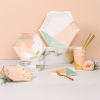 Disposable Printed Square Paper Plate